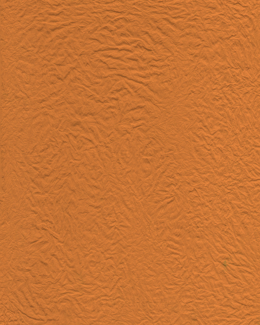 Calção "Noelle"